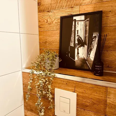 In Halle An Der Saale *