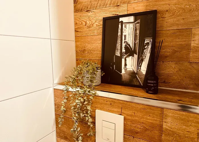 In Halle An Der Saale *